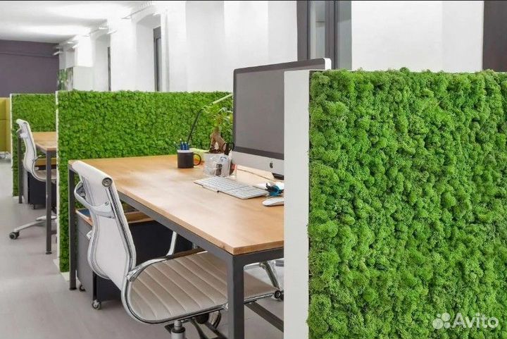 Искусственное озеленение. Фитостена