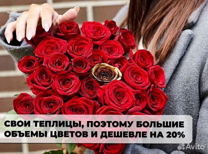 Букет из 33 роз