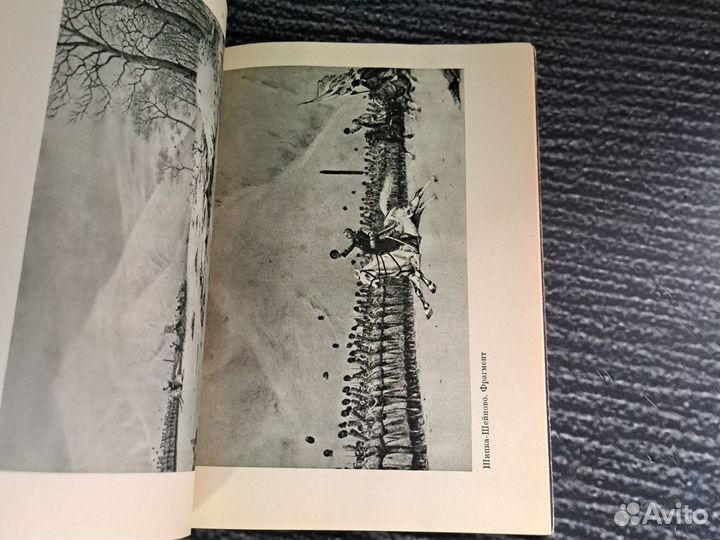 Книги В. Верещагин. альбом 1959 года