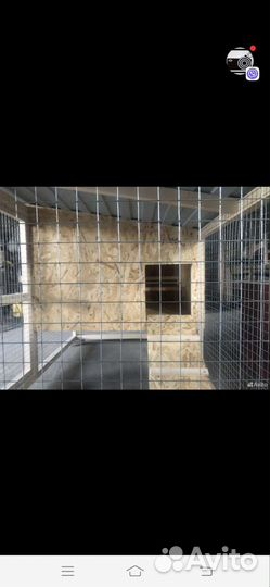 Клетка для кур