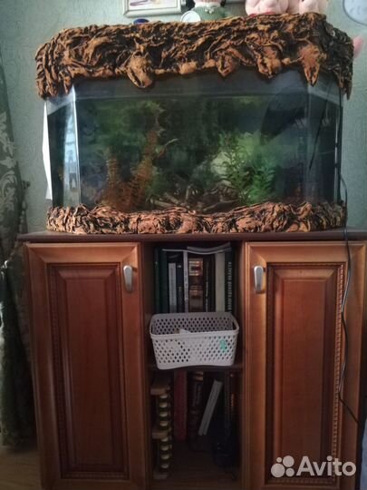 Аквариум со всем содержимым