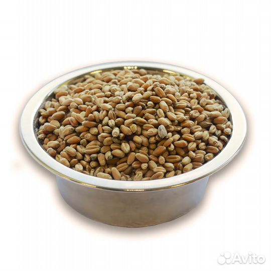 Зерно в ассортименте