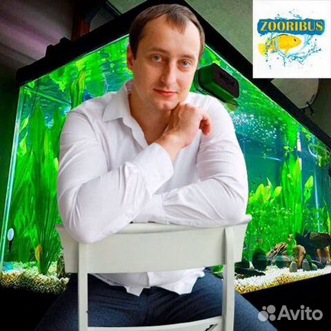 Обслуживание аквариумов (чистка, лечение)