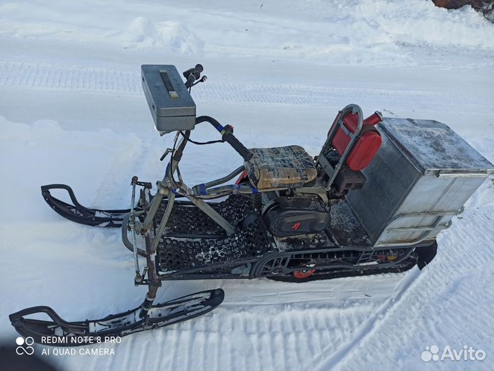 Мото собака