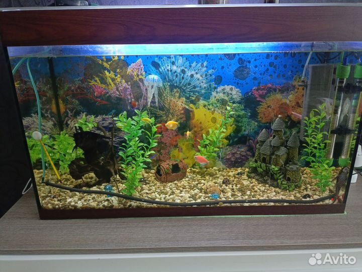 Аквариум с рыбками бу