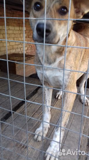 Милые и чудные котики вам в дом