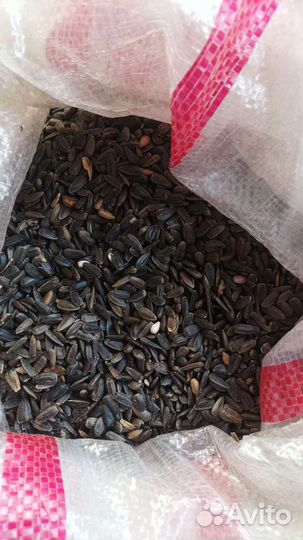 Семечки подсолнечника