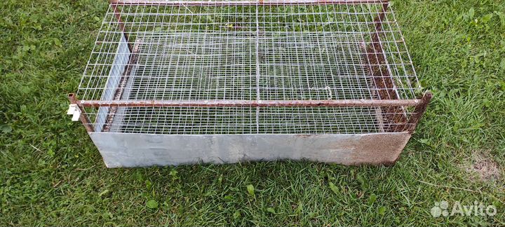 Клетки для перепелов бу