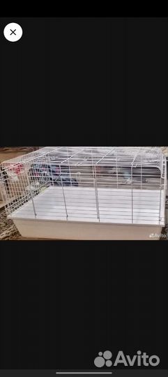 Клетка для грызунов большая
