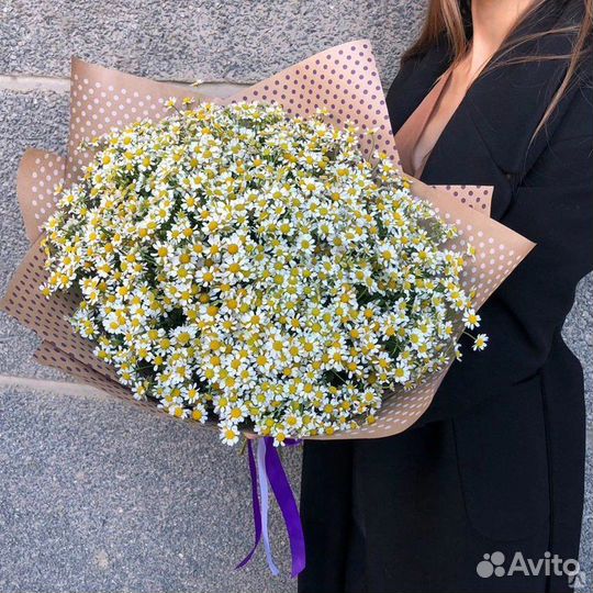 Букет ромашек Ромашки 19 25 51 101