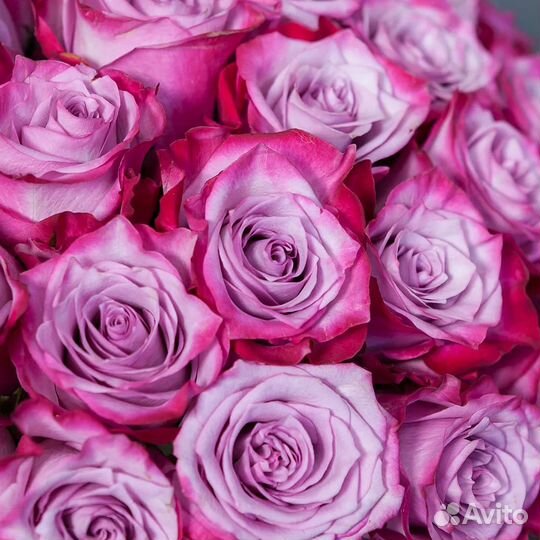 Розы 31/51/101/201 Киров букеты