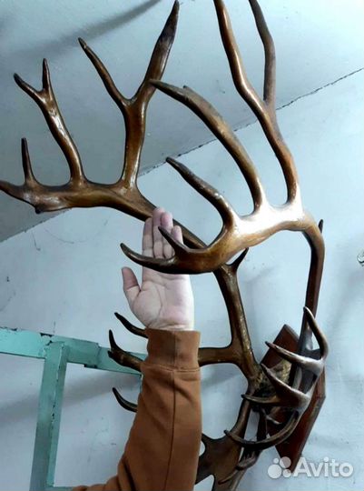 Рога оленя