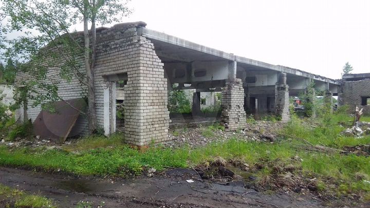 Участок 65 сот. (СНТ, ДНП)