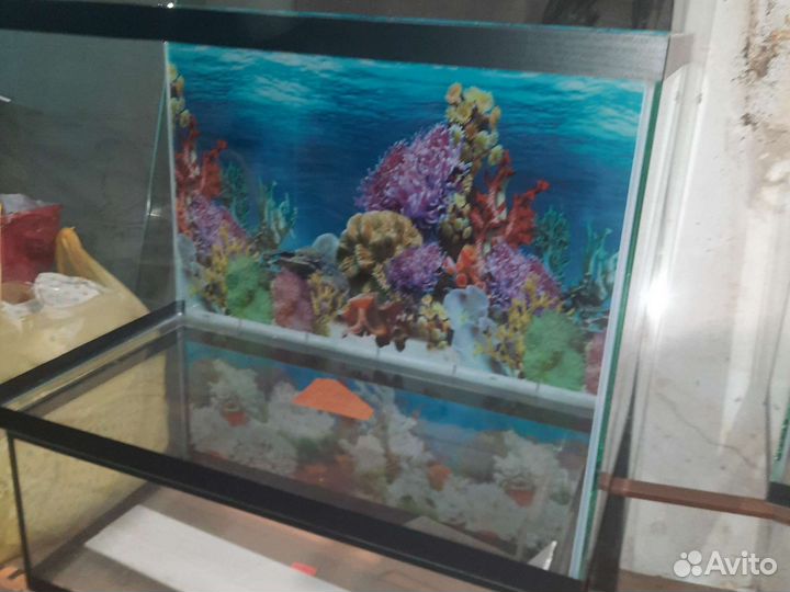 Изготовление и ремонт аквариумов, террариумов