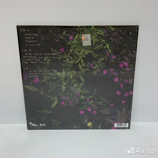 Garbage - Strange Little Birds (2LP) vinyl