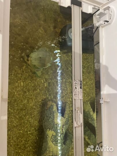 Аквариум eheim