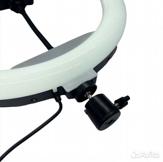 Кольцевая лампа LJJ-26см только оптом