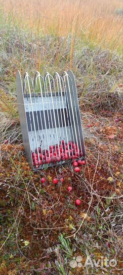 Клюква свежая