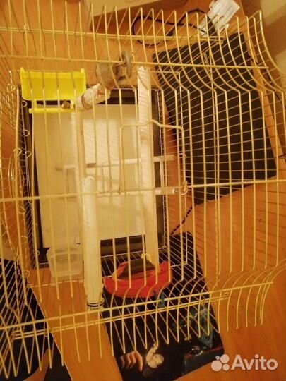Клетка для попугая