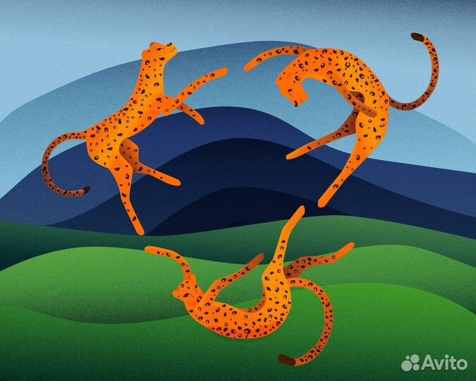 Графический дизайнер