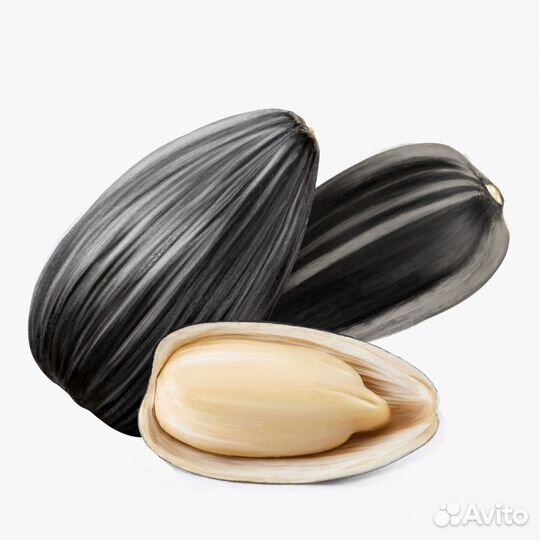 Семечки подсолнечника оптом