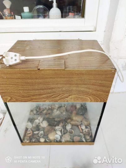 Аквариум для красноухой черепахи