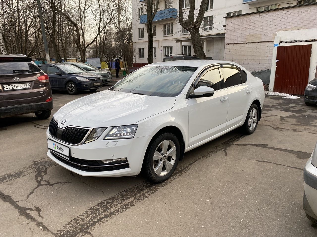 Skoda Octavia: фото владельца