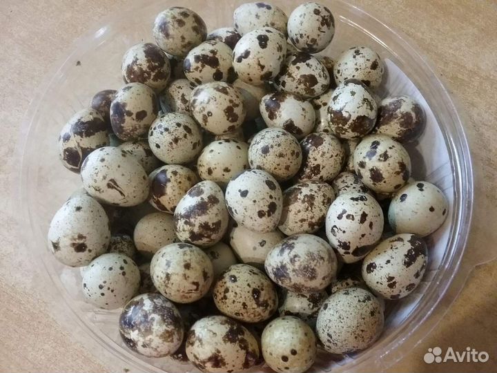 Яйцо перепелиное домашнее