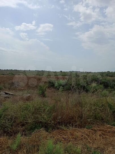 Участок 8 сот. (ИЖС)