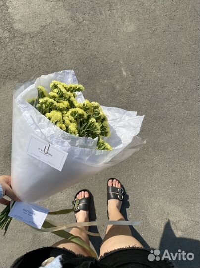 Гипсофила букет