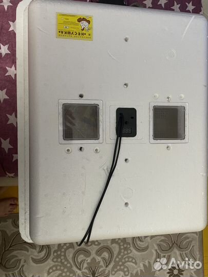 Инкубатор для яиц