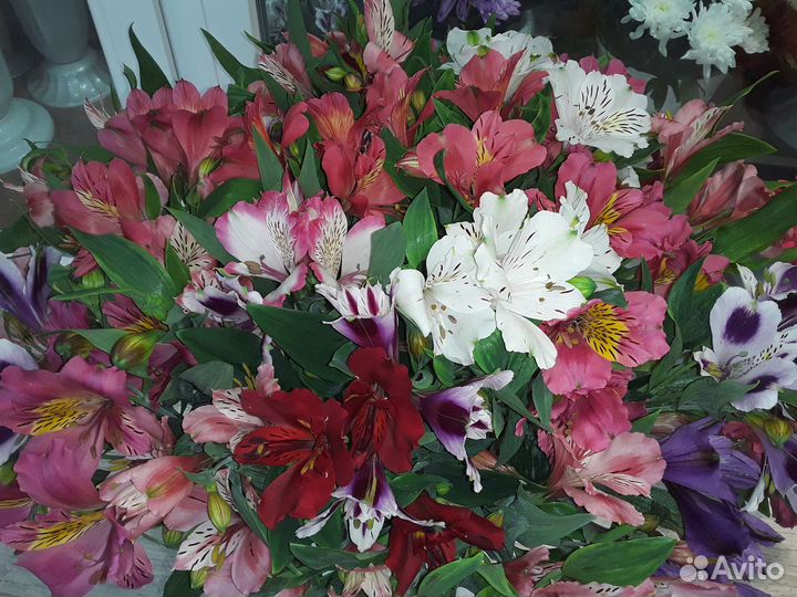 Букет из Альстромерии