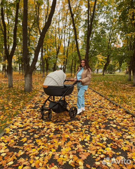 Коляска alis camaro 2в1
