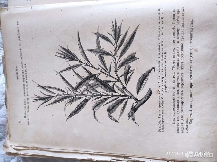 Коллекционирование, антиквариат