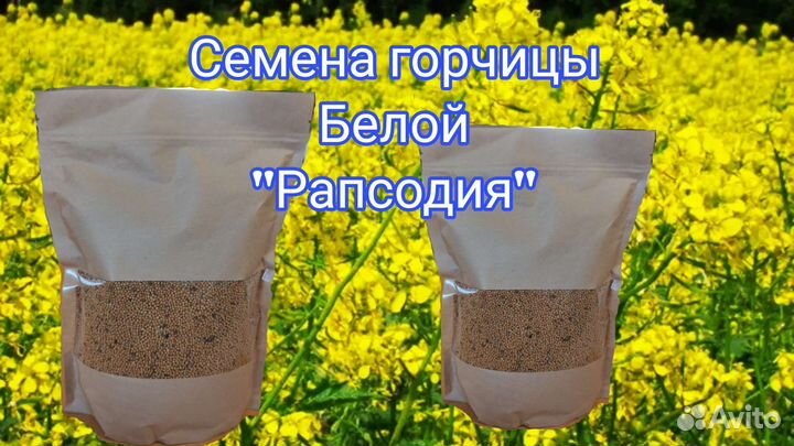 Горчица Белая Семена Сидерат Медонос