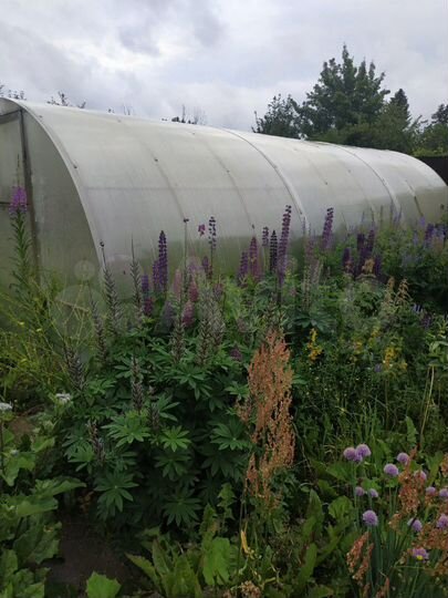 Участок 10 сот. (СНТ, ДНП)