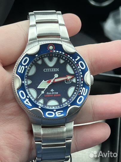 Citizen Eco-Drive Promaster Orca
