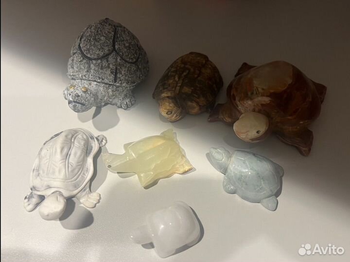 Черепахи каменные