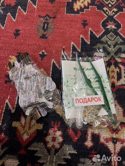 Муравьиная ферма