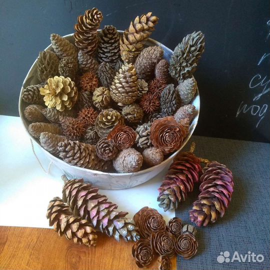 Два набора разных шишек