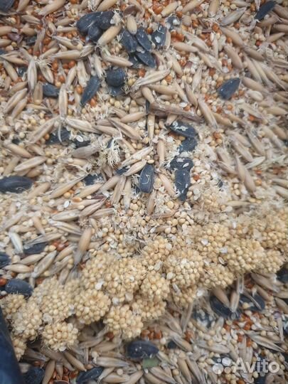 Корм для попугаев