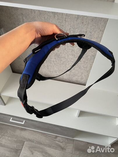 Шлейка для собаки