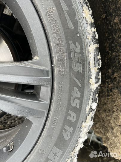 Michelin Pilot Alpin PA4 255/45 R19 100
