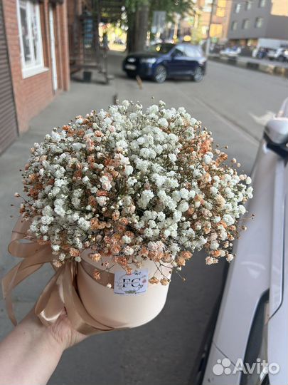 Композиция из крашеной гипсофилы