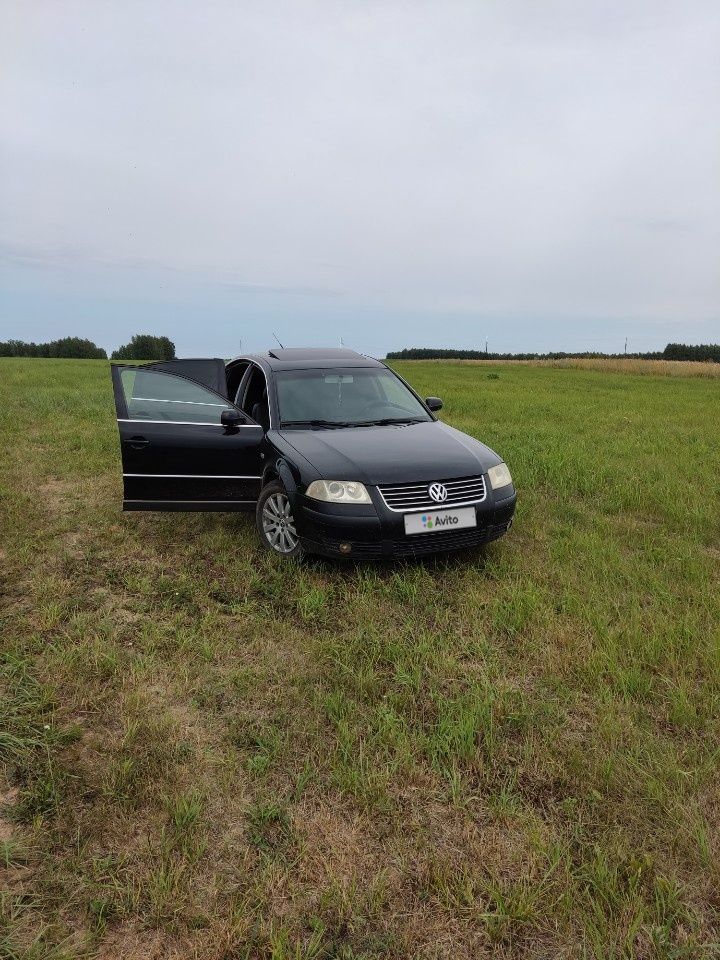 Volkswagen Passat: фото владельца