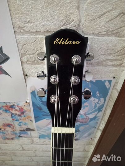 Акустическая гитара elitaro