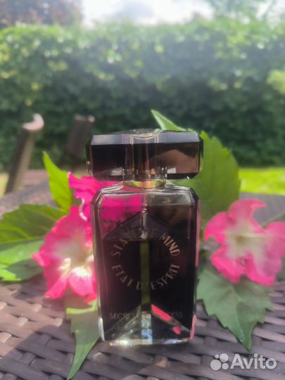 State of Mind Secret of Success, 85 ml