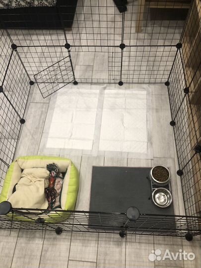Клетка вольер для собак бу