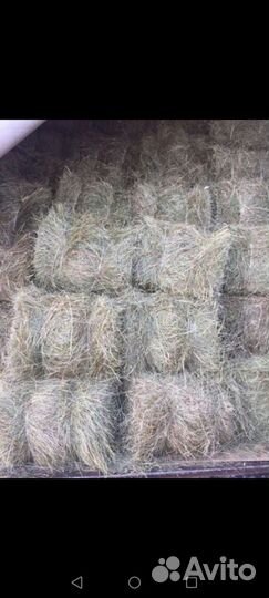 Солома и сено в круглых рулонах