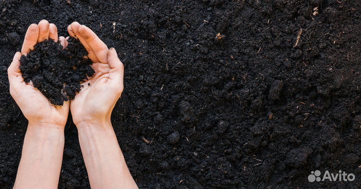 Торфогрунт